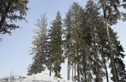 img_4807-1