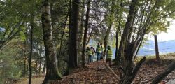 waldpadagogik_1