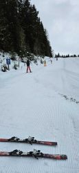 skifahren_3
